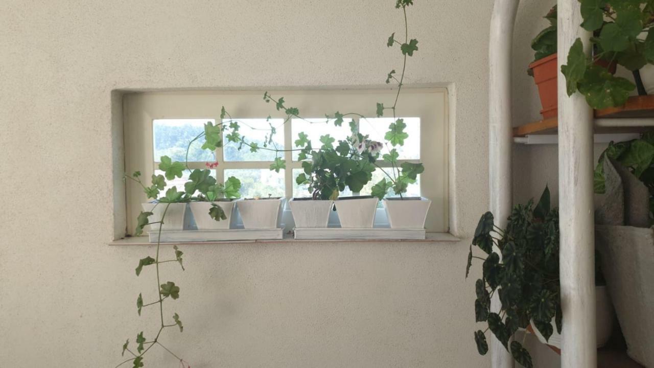 La Curtea Argeseana Valea Iasului