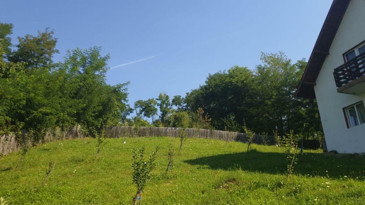La Curtea Argeseana Séjour chez l'habitant